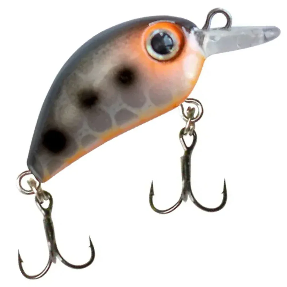 Tuotekuva 12